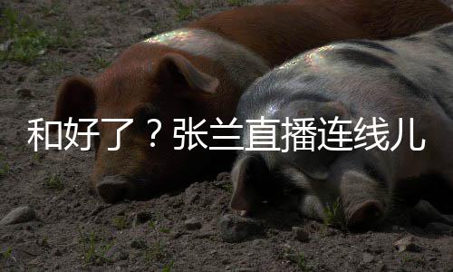 大S怼网儿媳 怒心病太重和好友疑张兰直播了连线