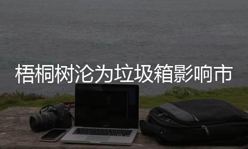 安全梧桐为垃影响隐患存在圾箱树沦市容