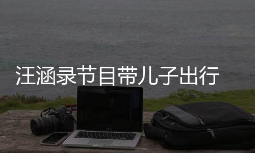 儿子目带满满同行汪涵温情子俩录节 父出行牵手