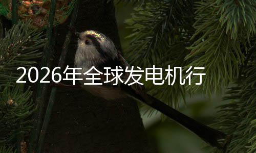 电机名年全内外行业先企规模业国领份额及排球发市场市场